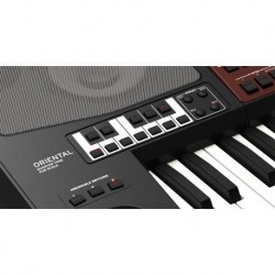 Korg PA-700 Oriental