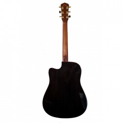 Veelah V57-DCE Cutaway Electrificada