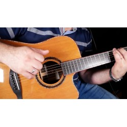Veelah V57-DCE Cutaway Electrificada