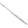 Flauta Travesera JUPITER JFL700RO (JFL511RSO)