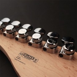 Cort G290 FAT AVB