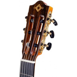 Guitarra Martinez MP-14 MP Artist