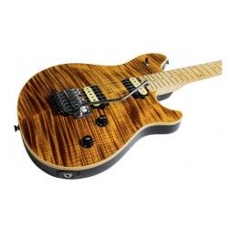 Peavey HP2 Tremolo Tiger Eye