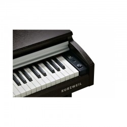 KURZWEIL M-210 RW + BANQUETA