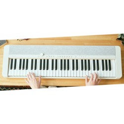 Casio CT-S1WE