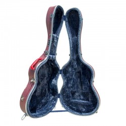 Rapsody Armonia Plateado 3D rugoso Estuche guitarra