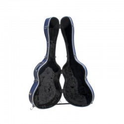 Rapsody Armonia Plateado 3D rugoso Estuche guitarra