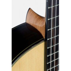 Guitarra Flamenca Vicente Tatay Palosanto C320.590RS