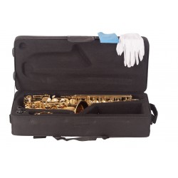 Saxo Alto Amadeus AL802L