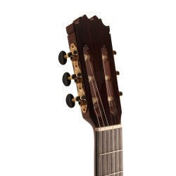Antonio De Toledo Modelo E15 Cedro CEQ Fishman Con Cutaway AT-15CE Cut