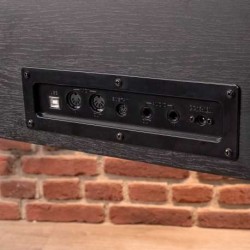 OQAN QP88S Piano 88 teclas
