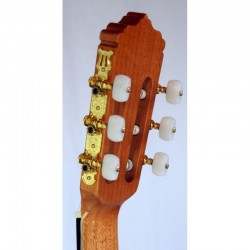 Guitarra Clásica VICENTE TATAY C320.203