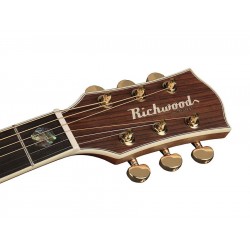 Richwood A-70-EVA Auditorium Master series