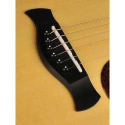 Richwood A-70-EVA Auditorium Master series