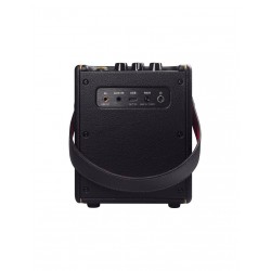 Positive Grid Spark Mini BK