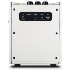 Positive Grid Spark Mini Pearl