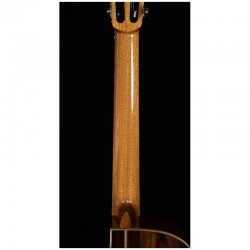 Guitarra MARTINEZ Crossover MP-14 OV