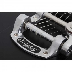 Schecter Robert Smith Ultracure 2020 BLK PRL