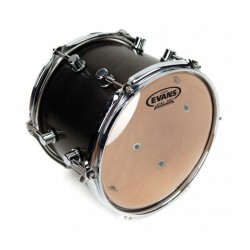 Evans 10" Genera Resonant TT10GR