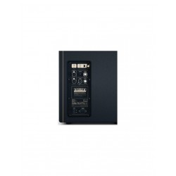 Positive Grid Spark CAB Pantalla