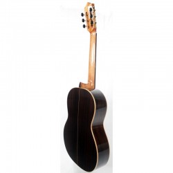 Guitarra Martínez MFG-RS