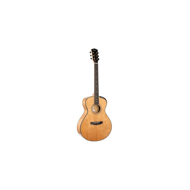 Cort Gold Passion