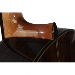 Guitarra clásica Tatay C320.309 Tapa de cedro y cuerpo Palosanto