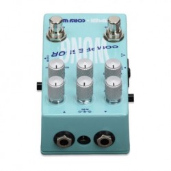 WAMPLER CORY WONG