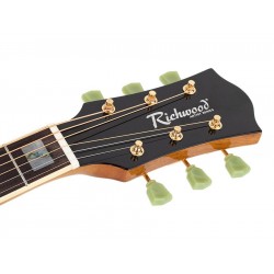 Richwood Heritage Series HSDS-42-SB Dreadnought Model