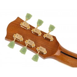 Richwood Heritage Series HSDS-42-SB Dreadnought Model