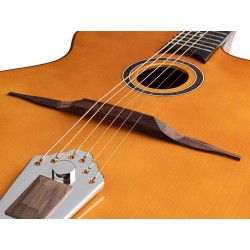 Guitarra Gitano jazz Hot Club Richwood boca ovalada  RM-70-NT