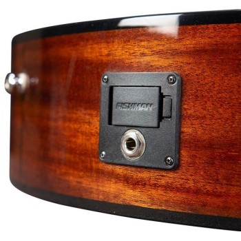 Breedlove Discovery S Concert Edgeburst CE African mahogany-African mahogany