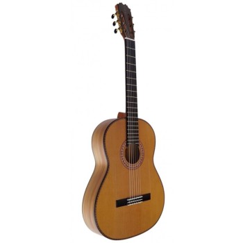 Guitarra Vicente Tatay Pepe Habichuela