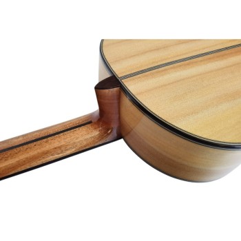 Guitarra Vicente Tatay Pepe Habichuela