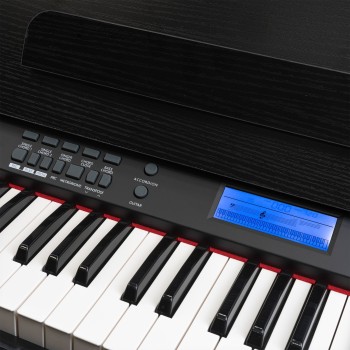 MAX Rhapsody DP61 Piano Digital