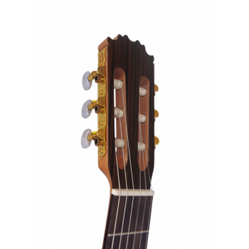 Vicente Tatay C320.560  Guitarra Flamenca con Tapa de Abeto, Cuerpo de Sicomoro, Alma Ajustable y Golpeador