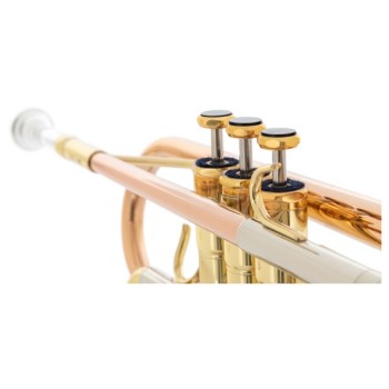 Lechgold CTR-18L Trompeta en C lacada