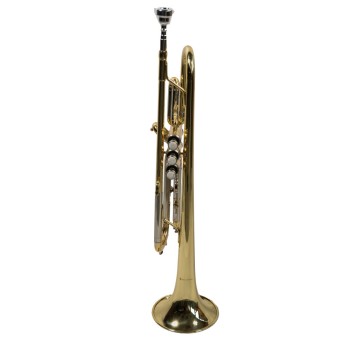 Trompeta Taylor Collins TR-1 Sib