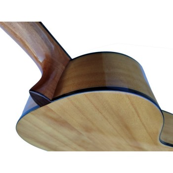 Pack de guitarra Flamenca Vicente Tatay C320.202F Con Caja a color-Funda-Afinador-Cejilla-Tensor de cuerdas-Juego de Cuerdas