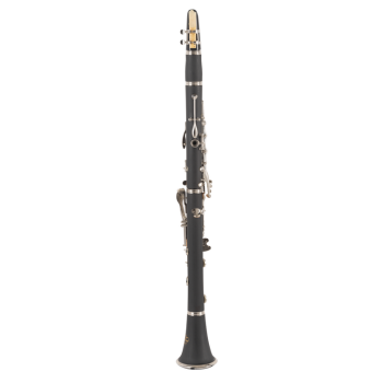 Clarinete J. MICHAEL CL360