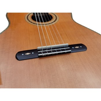 Antonio De Toledo Serie Legado Modelo AAT-19C - Tapa Maciza de Cedro y Fondo y Aros de Ziricote