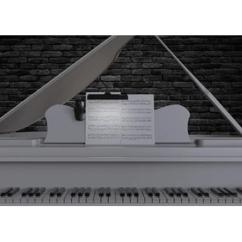 Audibax Niza 9 Lampara Atril Led Profesional