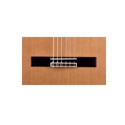 Guitarra Clásica JOSÉ TORRES JTC-40