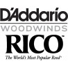 D'Addario RICO